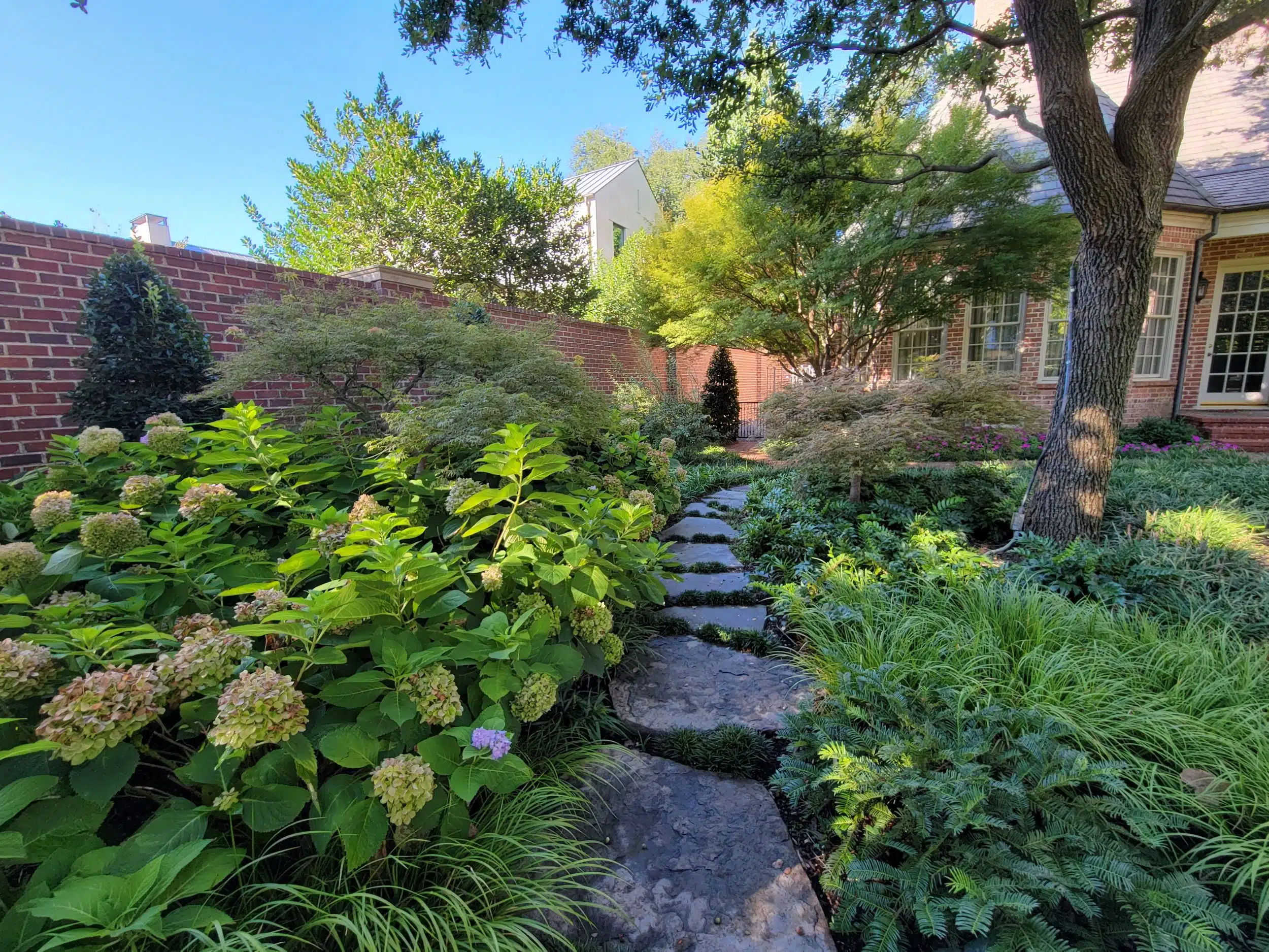 Landscape Design Wylie